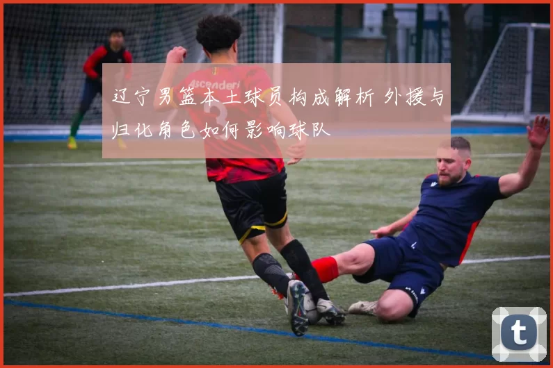 辽宁男篮本土球员构成解析 外援与归化角色如何影响球队