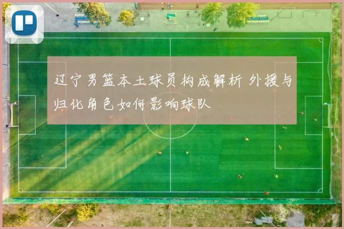 辽宁男篮本土球员构成解析 外援与归化角色如何影响球队