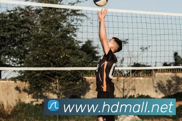 App Interface Preview