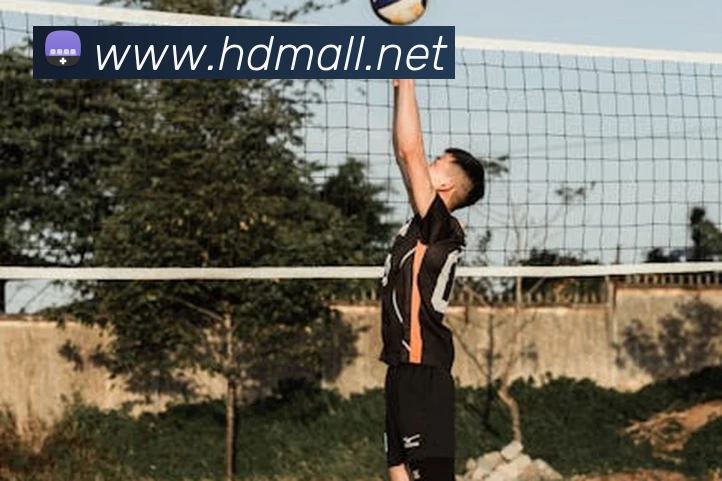 滚球买球的appAPP 封面图